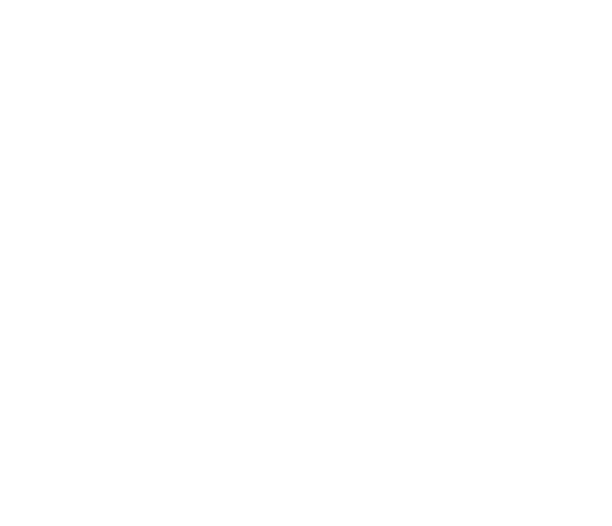 The Business Analysts